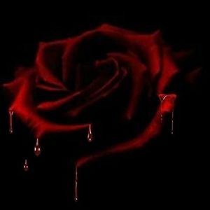 Meet your Posher, Nicolas